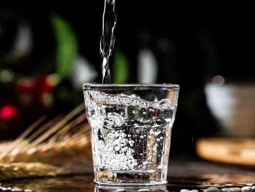 酒桌上備受歡迎的三款中檔糧食酒，約60元價位，口感回味無窮