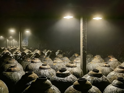 傳統白酒釀酒微生物的基本特征與作用